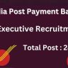 "IPPB IT Executive Recruitment 2024 Apply Online Banner